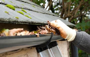 gutter cleaning Lower End